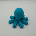 Octopus