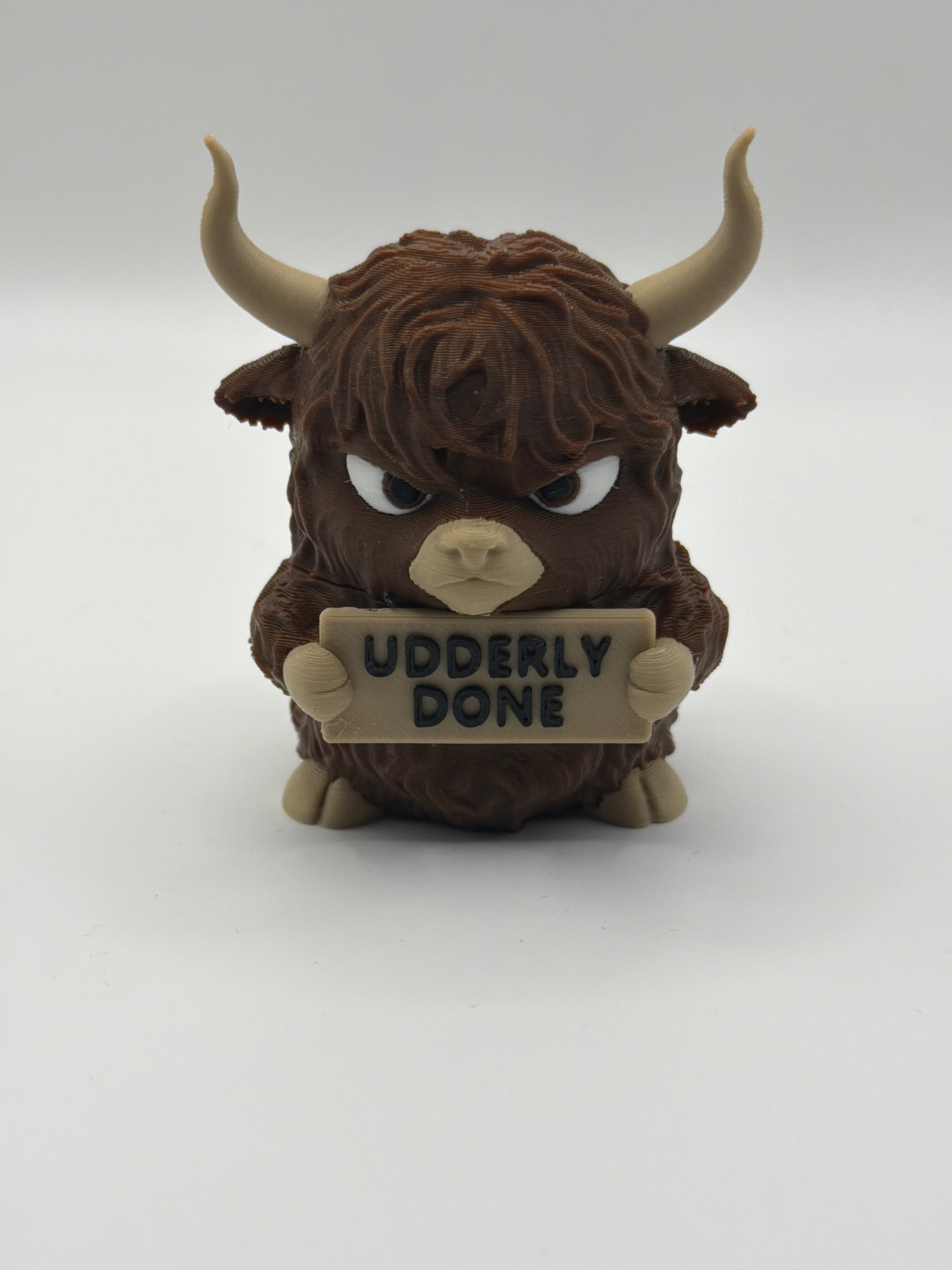 Highland Cow