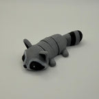 Raccoon