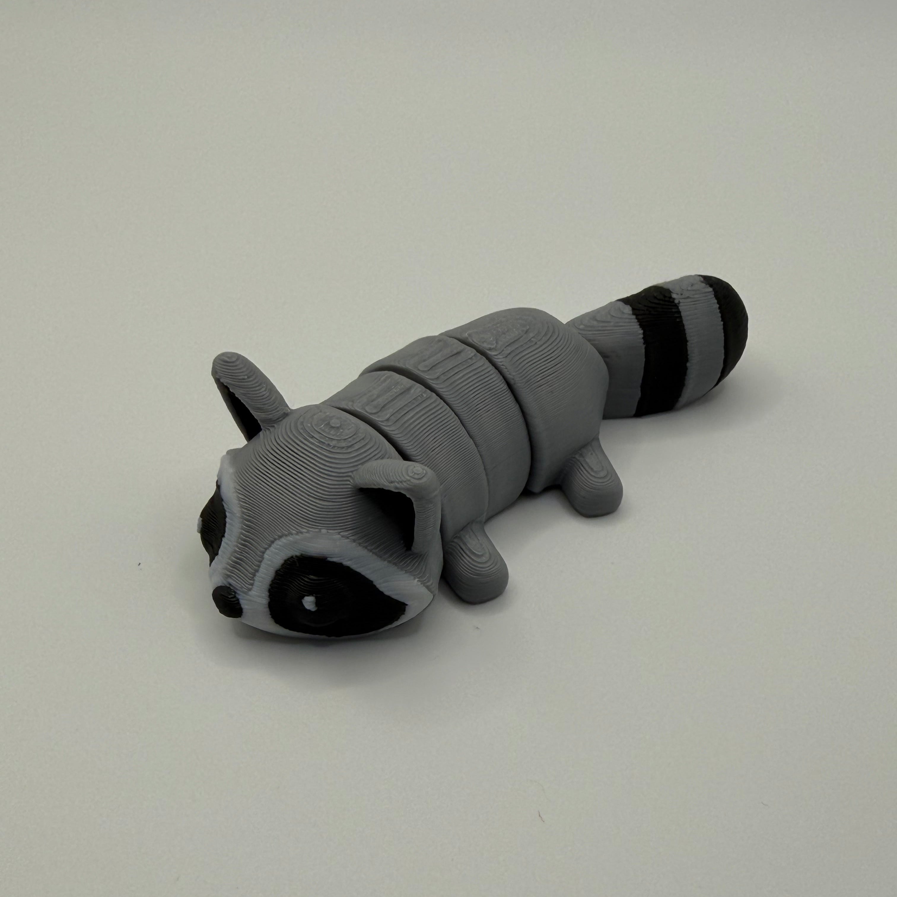 Raccoon