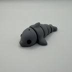 Dolphin