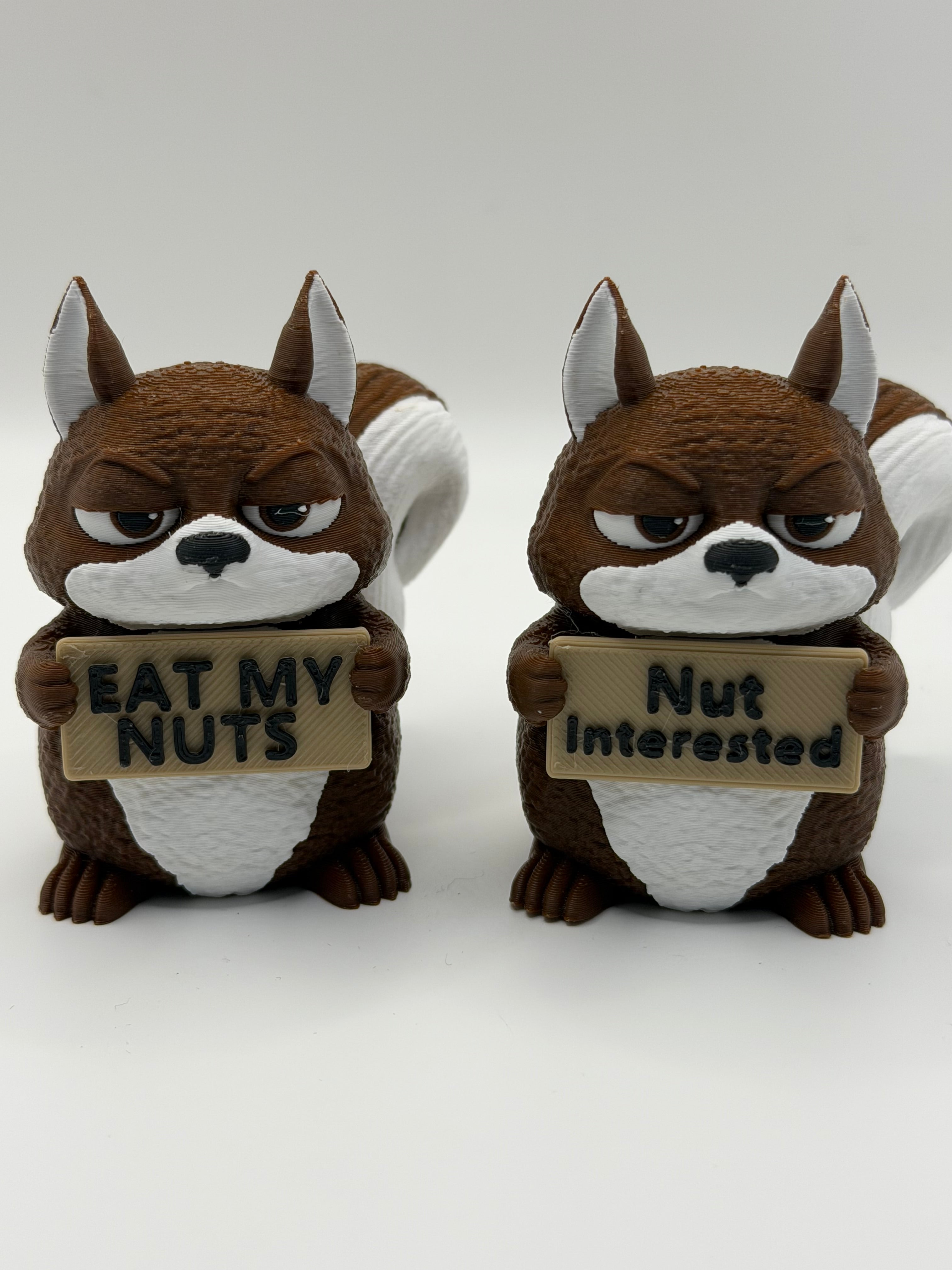 Squirrel